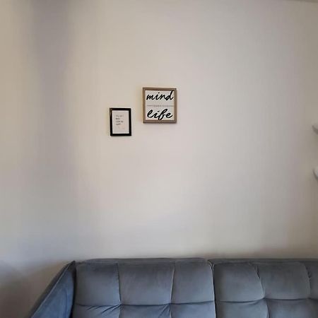 Exklusive Gartenwohnung ウィーン エクステリア 写真