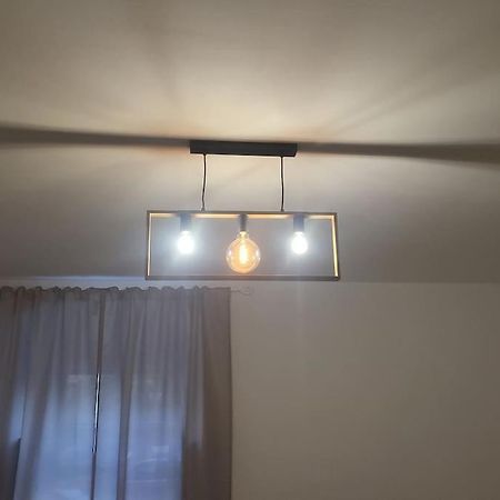 Exklusive Gartenwohnung ウィーン エクステリア 写真