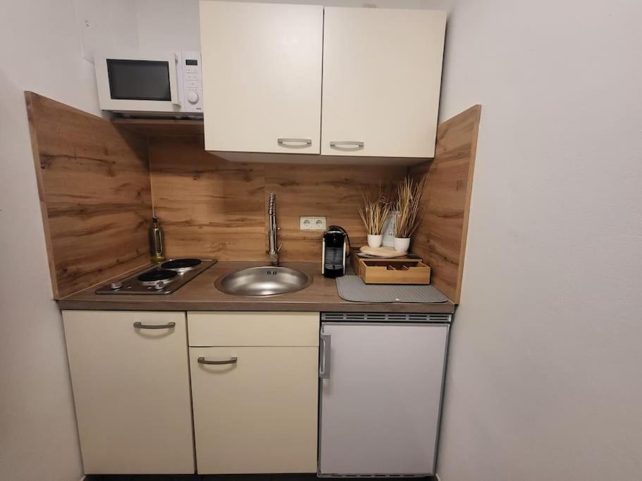 Exklusive Gartenwohnung ウィーン エクステリア 写真