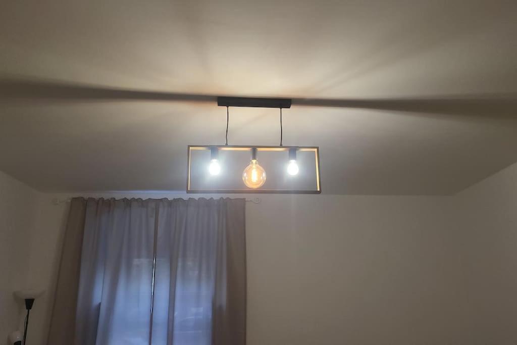 Exklusive Gartenwohnung ウィーン エクステリア 写真