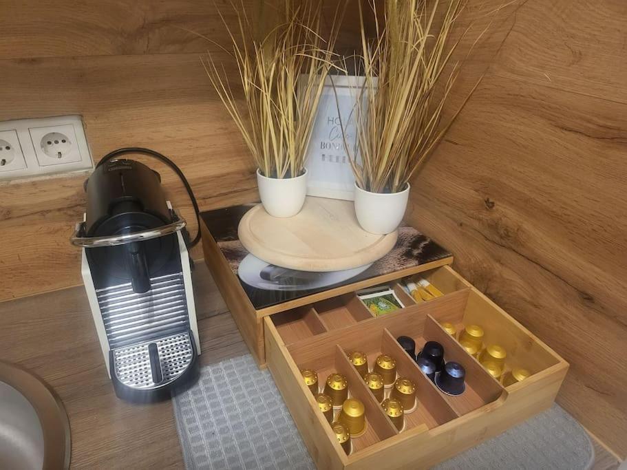 Exklusive Gartenwohnung ウィーン エクステリア 写真