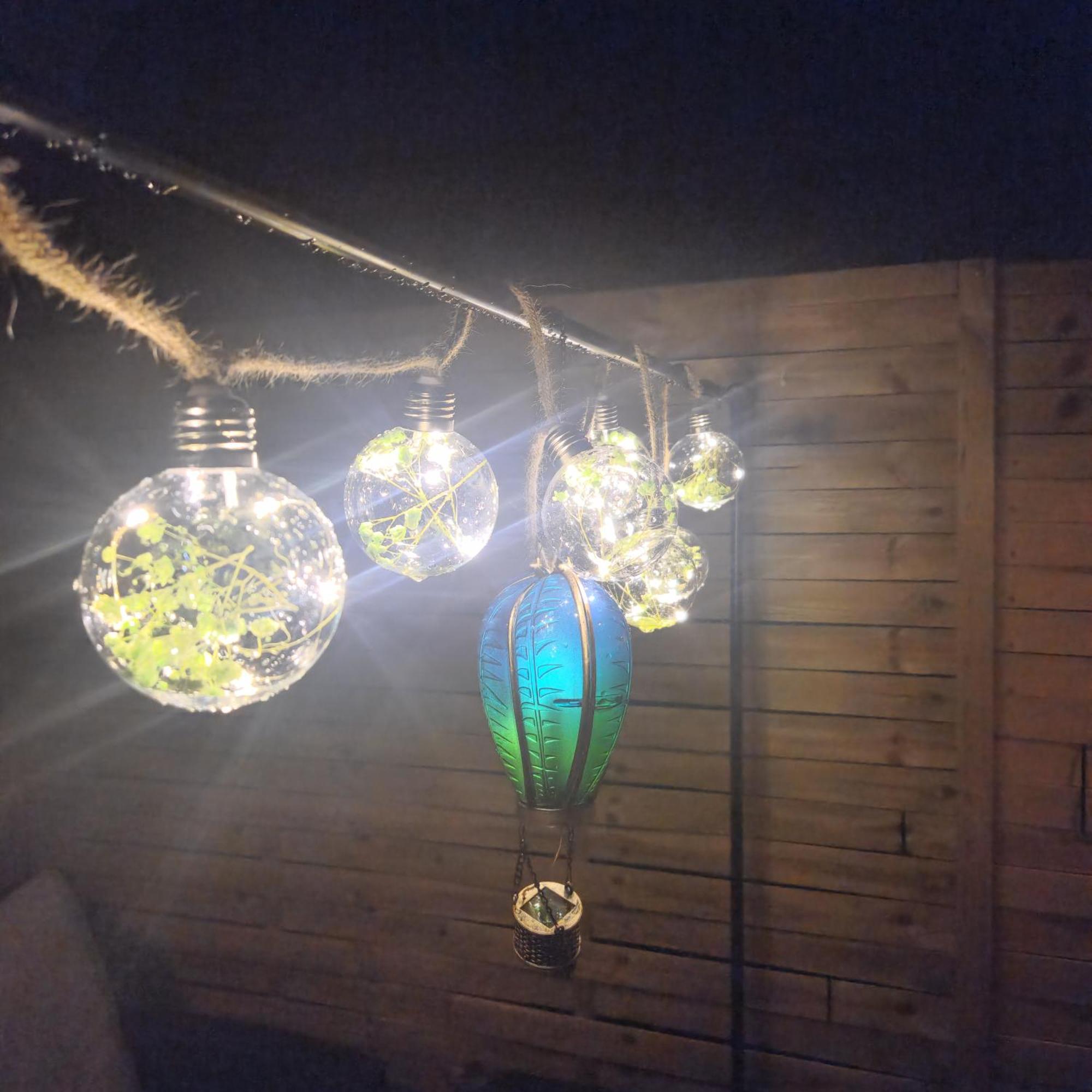 Exklusive Gartenwohnung ウィーン エクステリア 写真